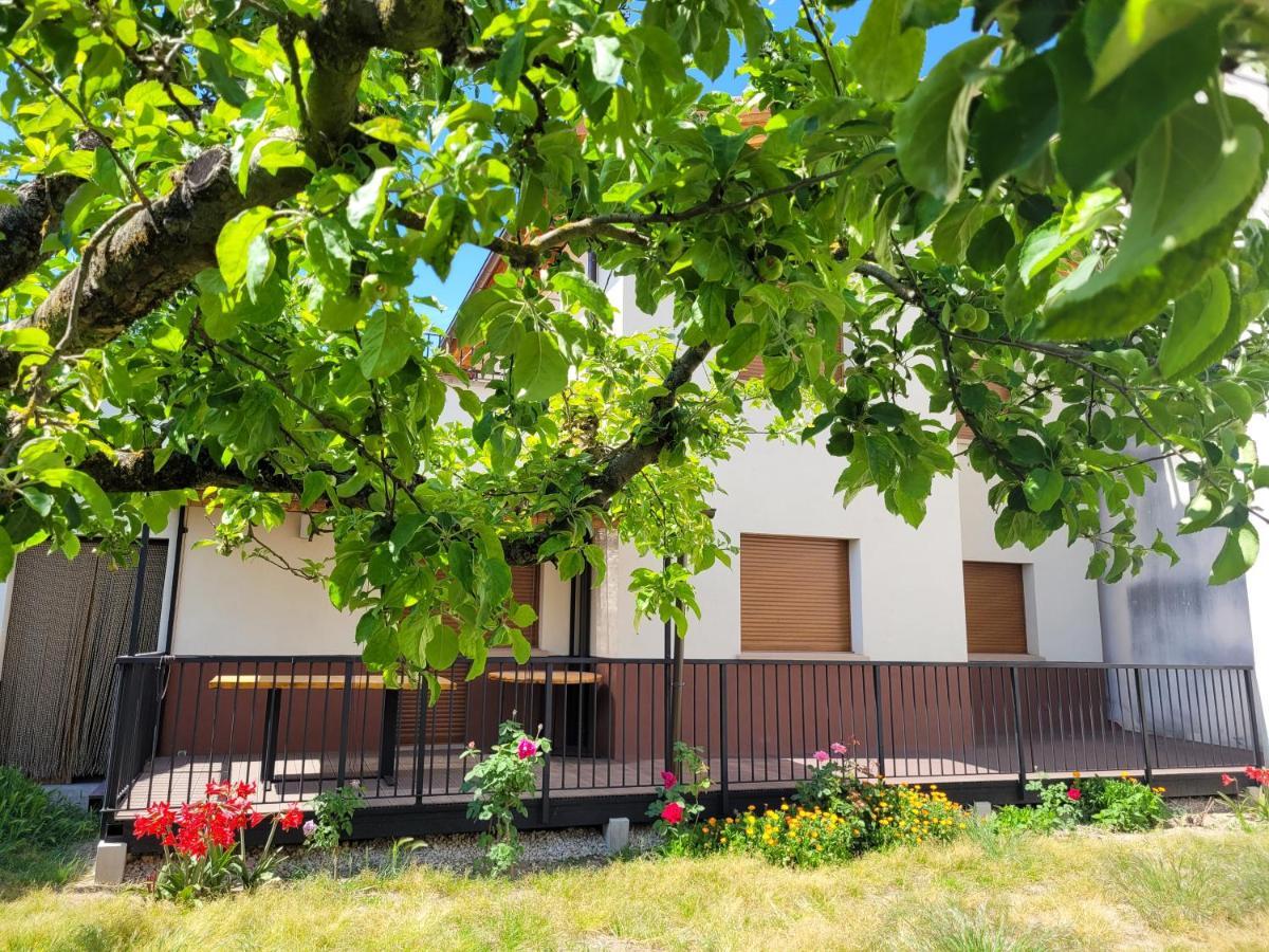 Hébergement de vacances Casa Julio, Bonita Casa Comoda Y Espaciosa, Totalmente Reformada Con Terraza Y Jardin Privado